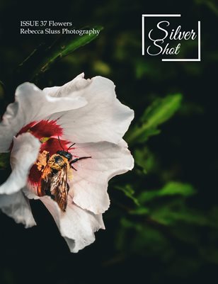 Publication preview
