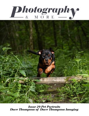 Publication preview