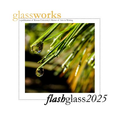 flashglass 2025