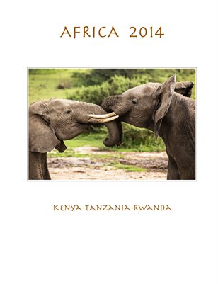 Africa, 2014