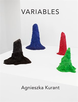 Agnieszka Kurant "Variables" at 'T' Space