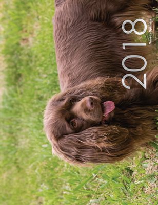 2018 Sussex Spaniel Calendar