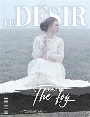 11121_LE_DESIR___FINE_ART_ISSUE3