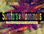 Sunstars and Moonsnails