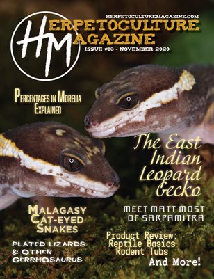 Issue #13 - November 2020