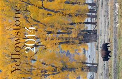 2014 Yellowstone Calendar