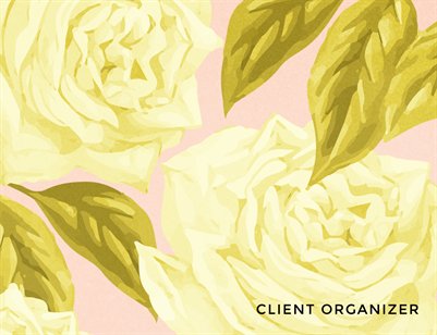 Client Organizer: Spring