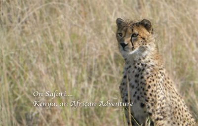 Africa