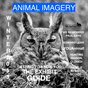 Animal Imagery winter 2013