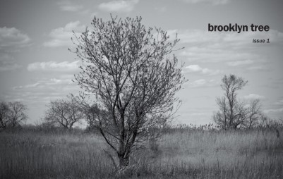 brooklyn tree