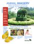 Animal Imagery summer 2012