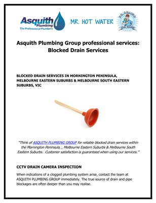 Asquith Plumbing Group professional services: Blocked Drain Services
