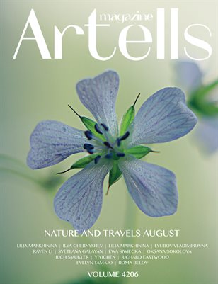 Publication preview