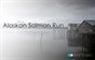 The Alaskan Salmon Run