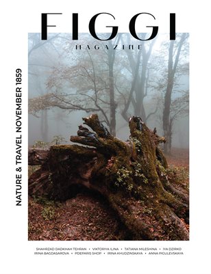 FIGGI MAGAZINE - NATURE & TRAVEL NOVEMBER (Vol 1859)