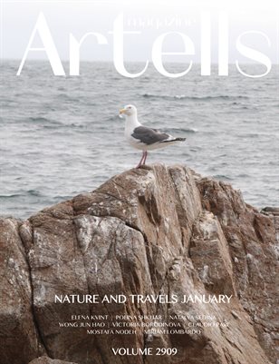 ARTELLS MAGAZINE - NATURE & TRAVELS JANUARY (Vol 2909)