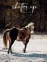 Shutter Up Magazine Issue 539 Winter Wonderland