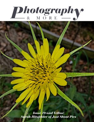 Publication preview