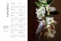 2022 Calendar - Psalms 34:10 - Parakeet & Bougainvillea 