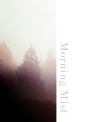 Morning Mist