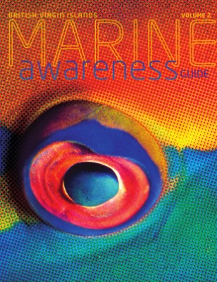 Second Edition