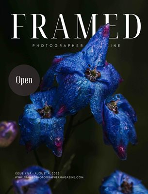 Framed Photographer Magazine, Issue 169