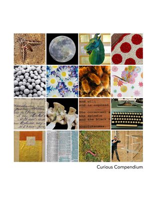 Curious Compendium
