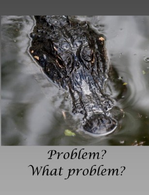Problem? What Problem? card