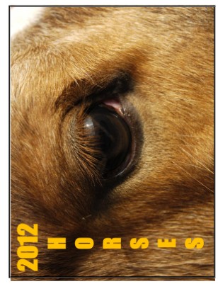 HORSES 2012