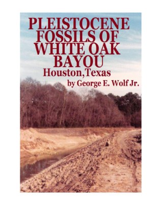Fossils of White Oak Bayou, Houston,Texas