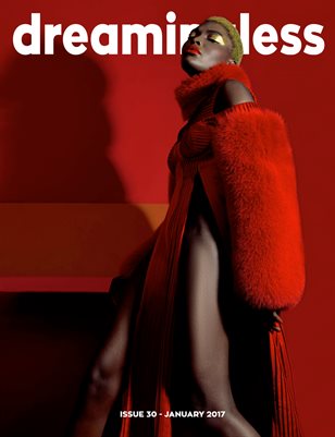 DREAMINGLESS MAGAZINE - ISSUE 30.3