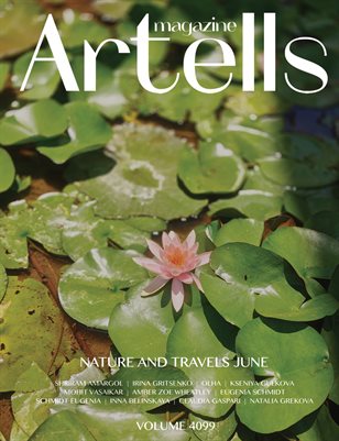 Publication preview