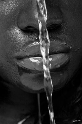 New Publication (87)