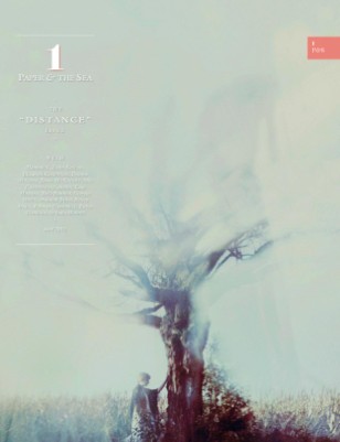 Publication preview