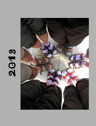 CatCal 2013