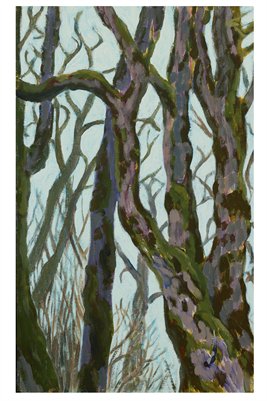 Oaks of Stewart Slough