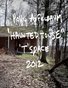 Polly Apfelbaum 'Haunted House' "T" Space Vol 4