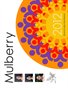 GLM 2012 Calendar - Mulberry