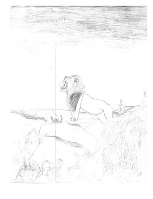 Publication preview