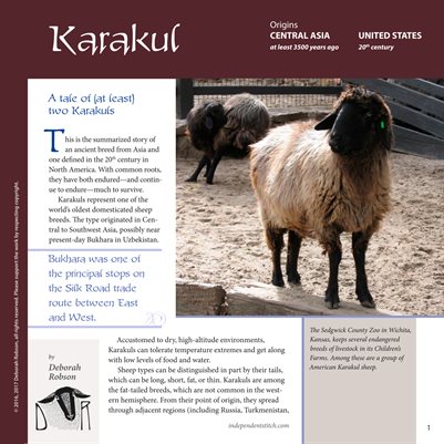 Guide to Fiber Intensive: Karakul