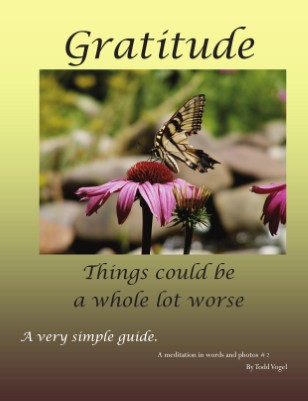 Gratitude