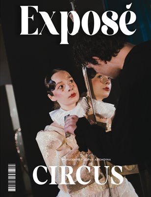 6__NOVEMBER_9C_ISSUE_FANTASY15