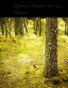 A Rumble in the Wilderness/Volume 1, Issue 1, February Issue 2009