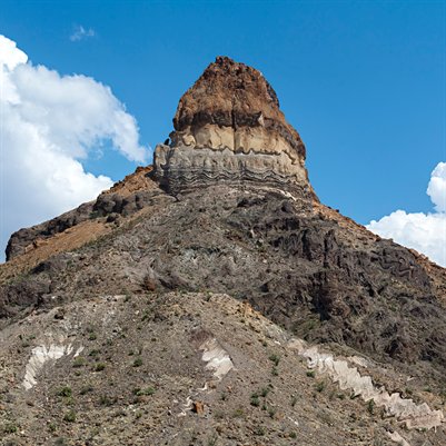 Hypersensitive Exhibition Catalog