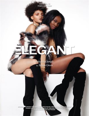 Fashion #3 (February 2017)