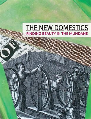 The New Domestics | Maria Porges Cover