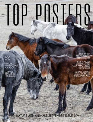 TOP POSTERS MAGAZINE - NATURE AND ANIMALS SEPTEMBER (Vol 594)