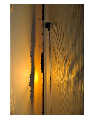 Apalachicola Impressions