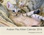 Arabian Mau Kittens 2016