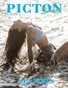 Picton Magazine MAY 2020 N500 Swimwear Cover 2